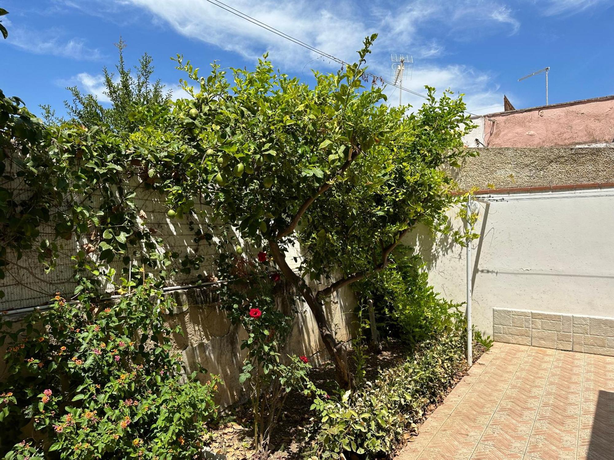 Villa San Leo San Leone Exterior foto